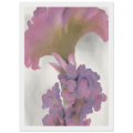 Coxcomb Framed Poster | Georgia O'Keeffe Framed Prints Wall Art | Georgia O Keeffe Prints