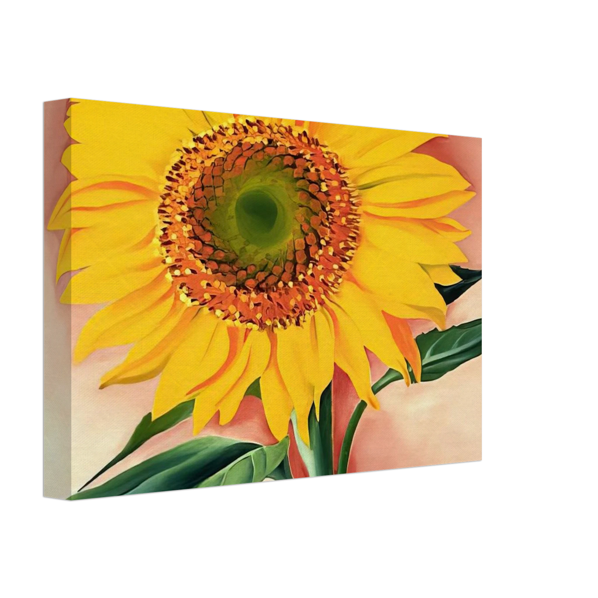 A Sunflower from Maggie Canvas | Georgia O'Keeffe Canvas | Georgia O Keeffe Prints