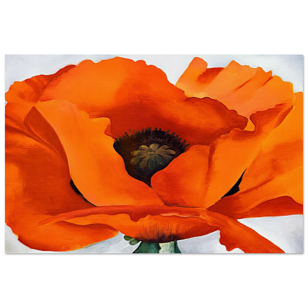 Red Poppy Poster | Georgia O'Keeffe Poster | Georgia O Keeffe Prints