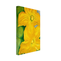 Squash Blossoms I Canvas | Georgia O'Keeffe Canvas | Georgia O Keeffe Prints