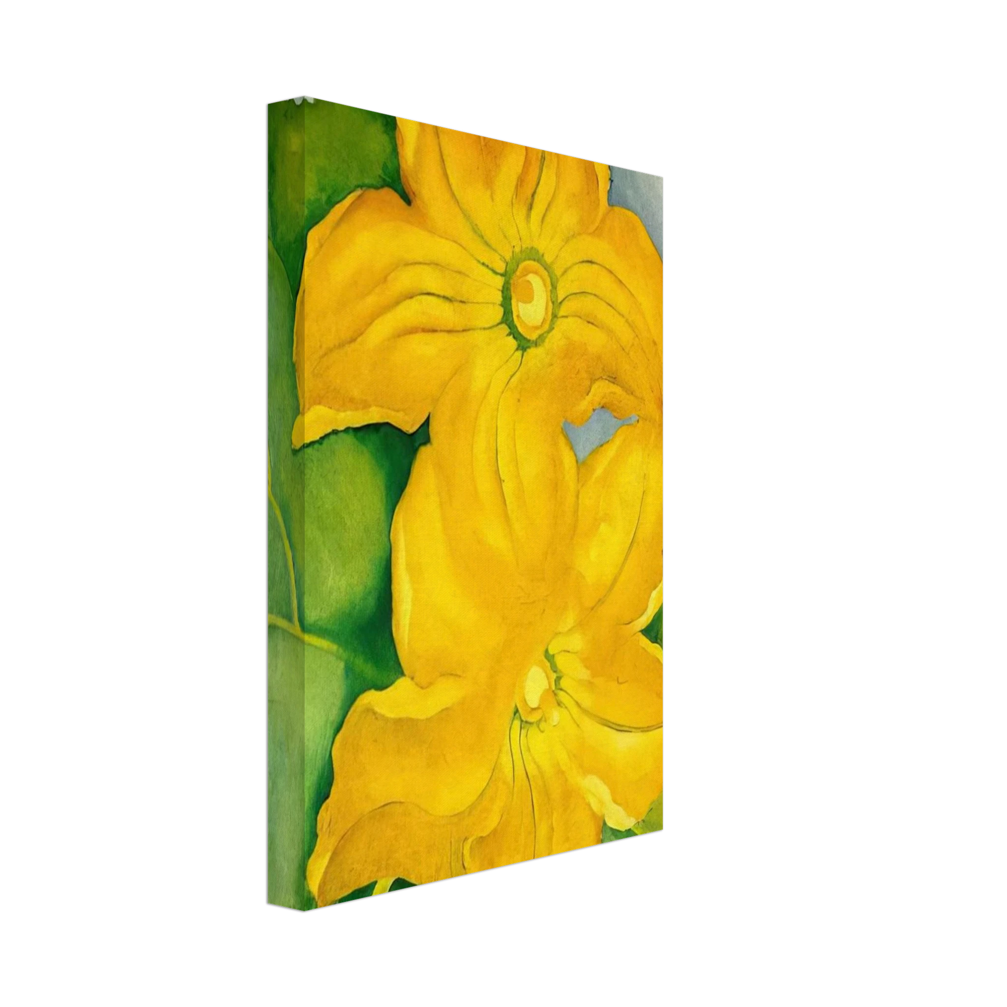 Squash Blossoms I Canvas | Georgia O'Keeffe Canvas | Georgia O Keeffe Prints