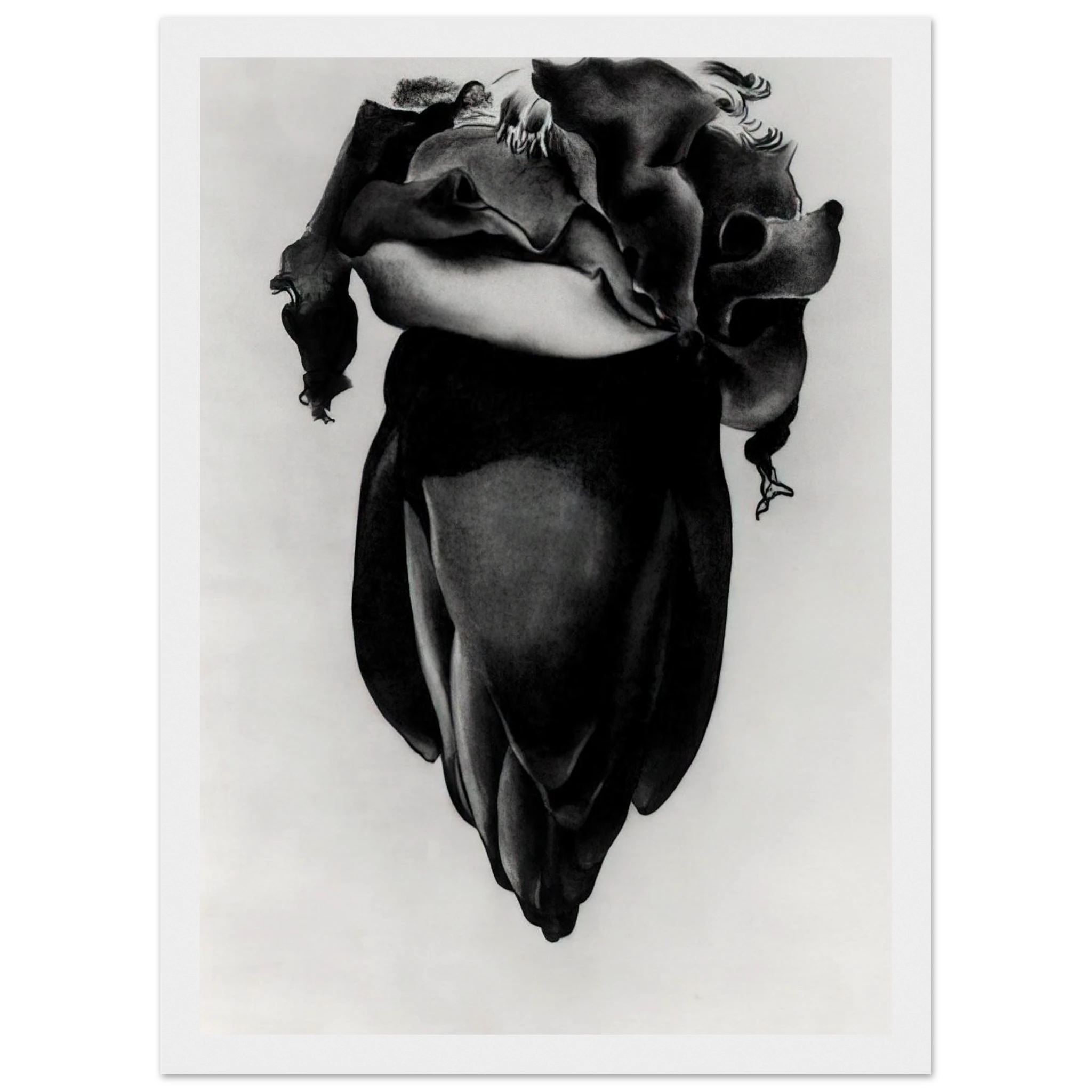 Banana Flower Framed Poster | Georgia O'Keeffe Framed Prints Wall Art | Georgia O Keeffe Prints