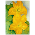 Squash Blossoms I Poster | Georgia O'Keeffe Poster | Georgia O Keeffe Prints