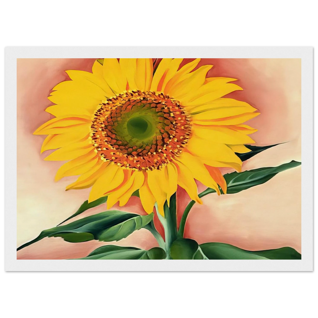 A Sunflower from Maggie Framed Poster | Georgia O'Keeffe Framed Prints Wall Art | Georgia O Keeffe Prints