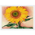 A Sunflower from Maggie Framed Poster | Georgia O'Keeffe Framed Prints Wall Art | Georgia O Keeffe Prints