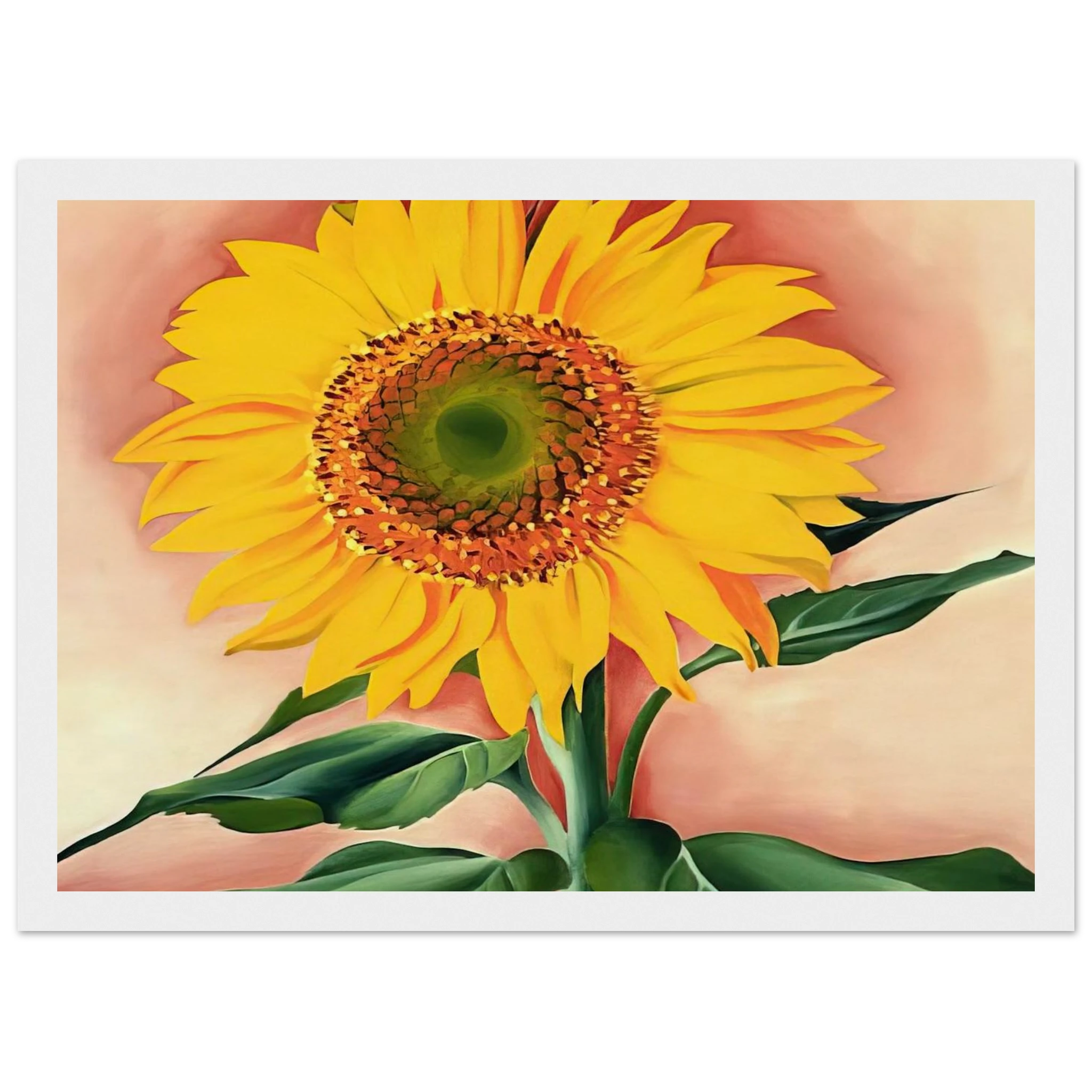 A Sunflower from Maggie Framed Poster | Georgia O'Keeffe Framed Prints Wall Art | Georgia O Keeffe Prints
