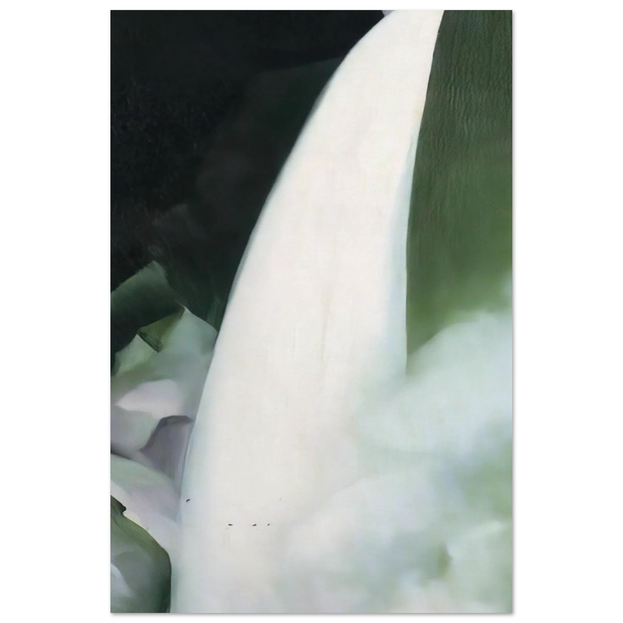 Green and White Poster | Georgia O'Keeffe Poster | Georgia O Keeffe Prints
