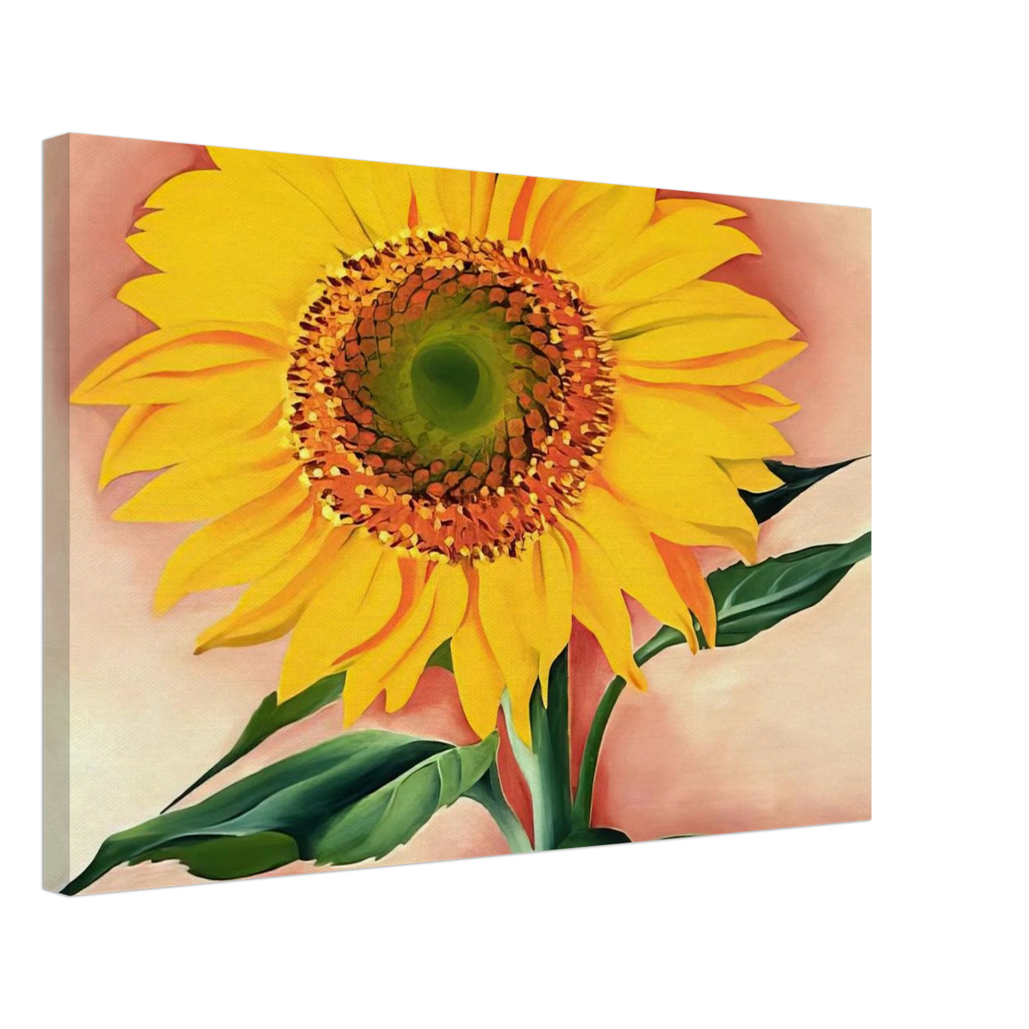 A Sunflower from Maggie Canvas | Georgia O'Keeffe Canvas | Georgia O Keeffe Prints