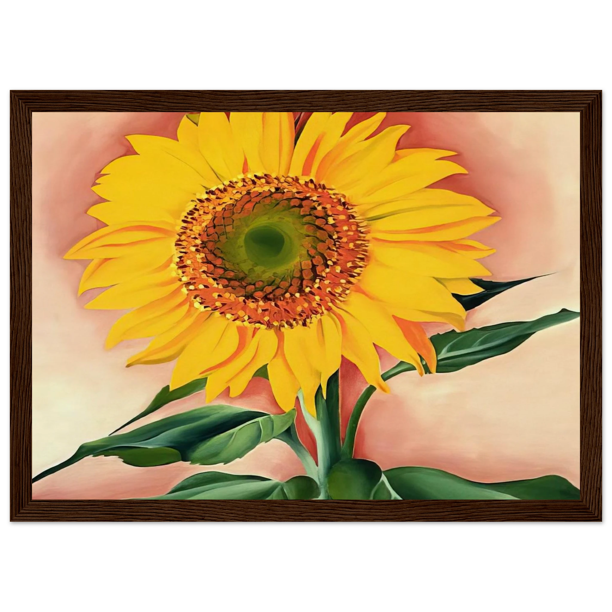 A Sunflower from Maggie Framed Poster | Georgia O'Keeffe Framed Prints Wall Art | Georgia O Keeffe Prints