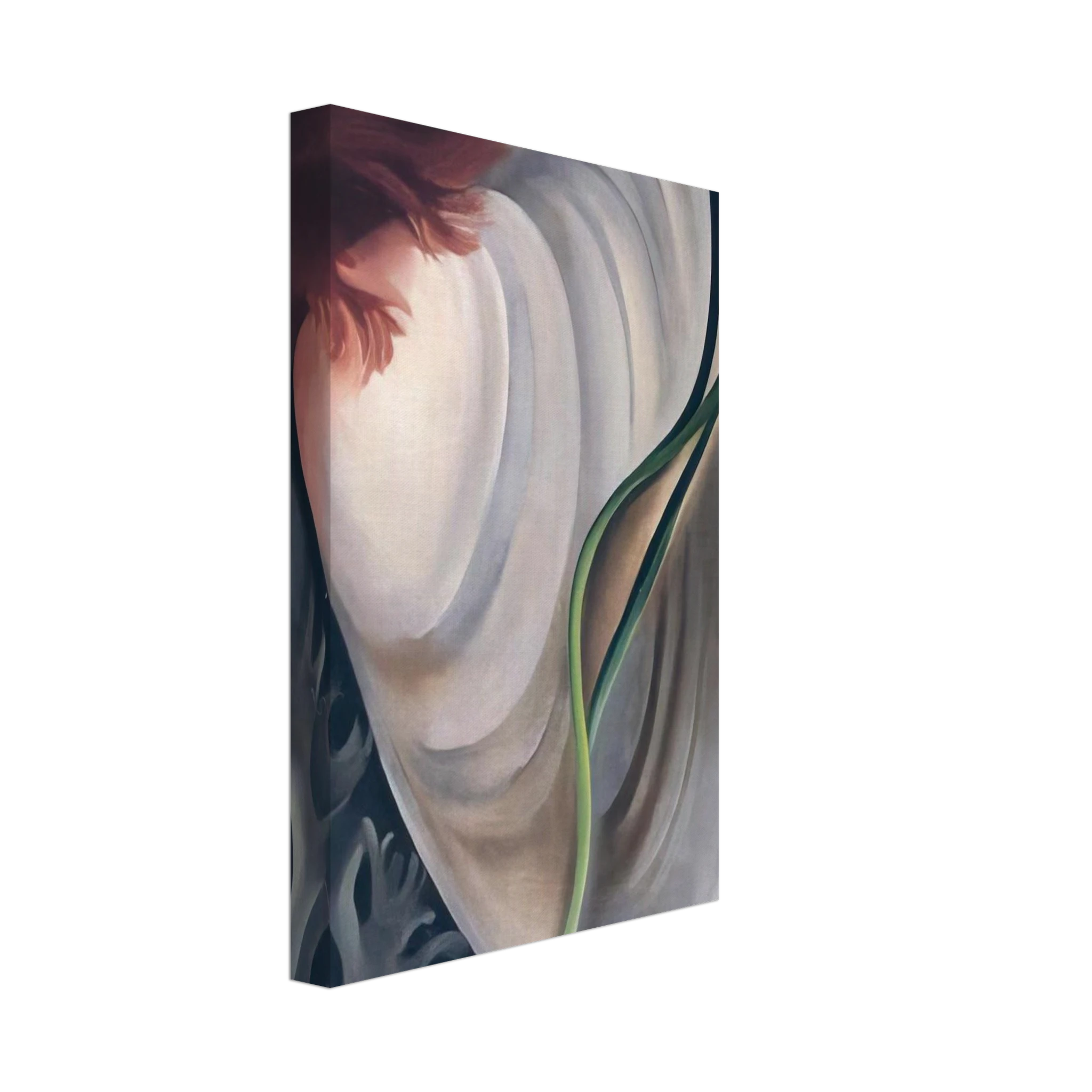 Shell No 2 Canvas | Georgia O'Keeffe Canvas | Georgia O Keeffe Prints