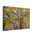Spring Tree No. 1 Canvas | Georgia O'Keeffe Canvas | Georgia O Keeffe Prints