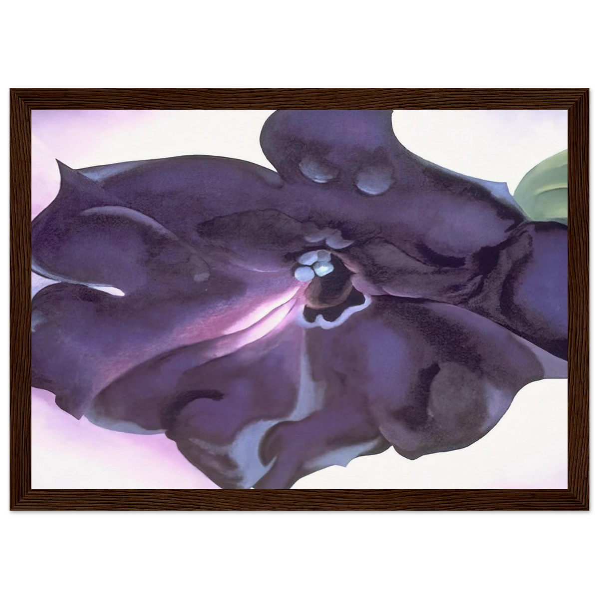 Petunia Framed Poster | Georgia O'Keeffe Framed Prints Wall Art | Georgia O Keeffe Prints