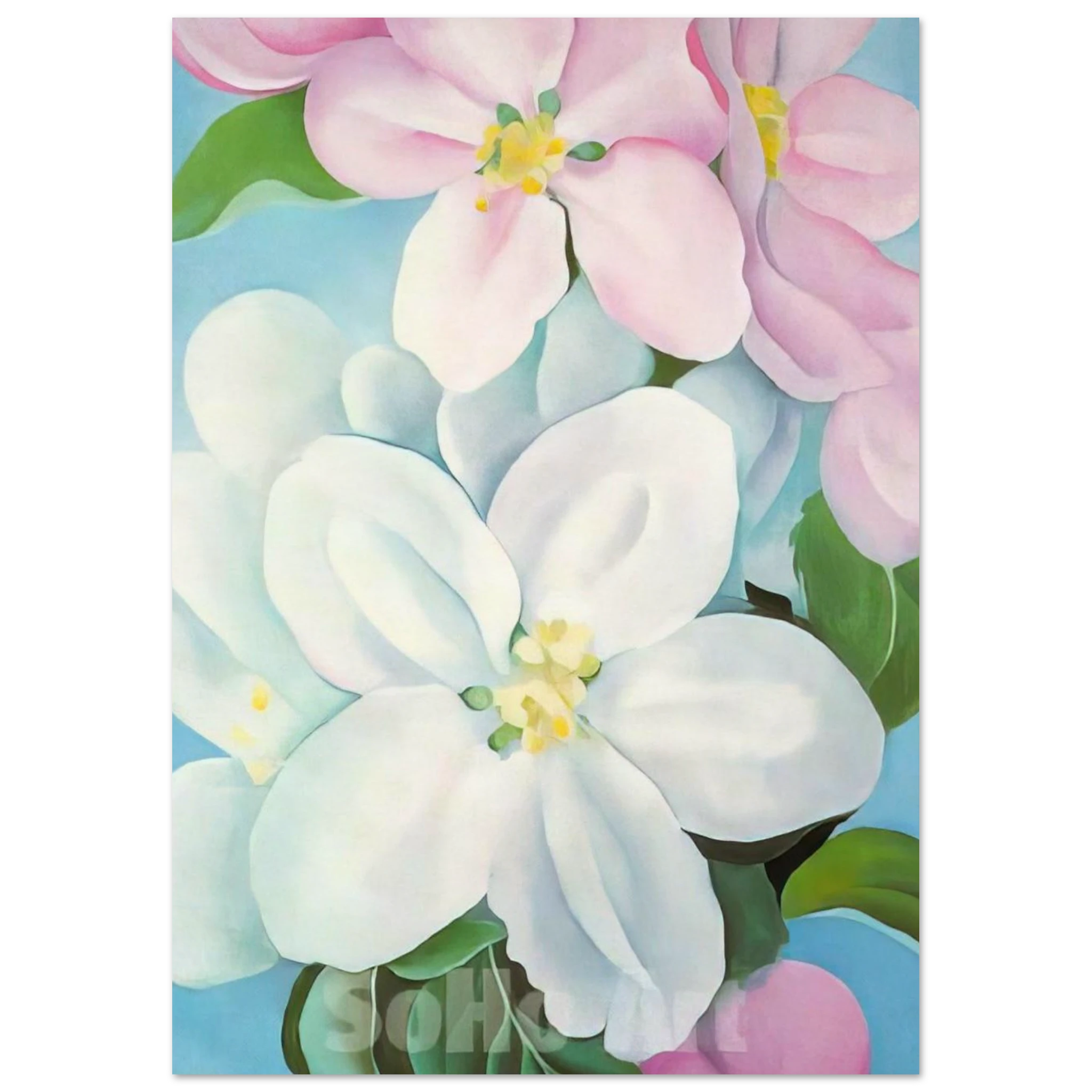 Apple Blossoms Poster | Georgia O'Keeffe Poster | Georgia O Keeffe Prints
