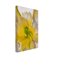 An Orchid Canvas | Georgia O'Keeffe Canvas | Georgia O Keeffe Prints