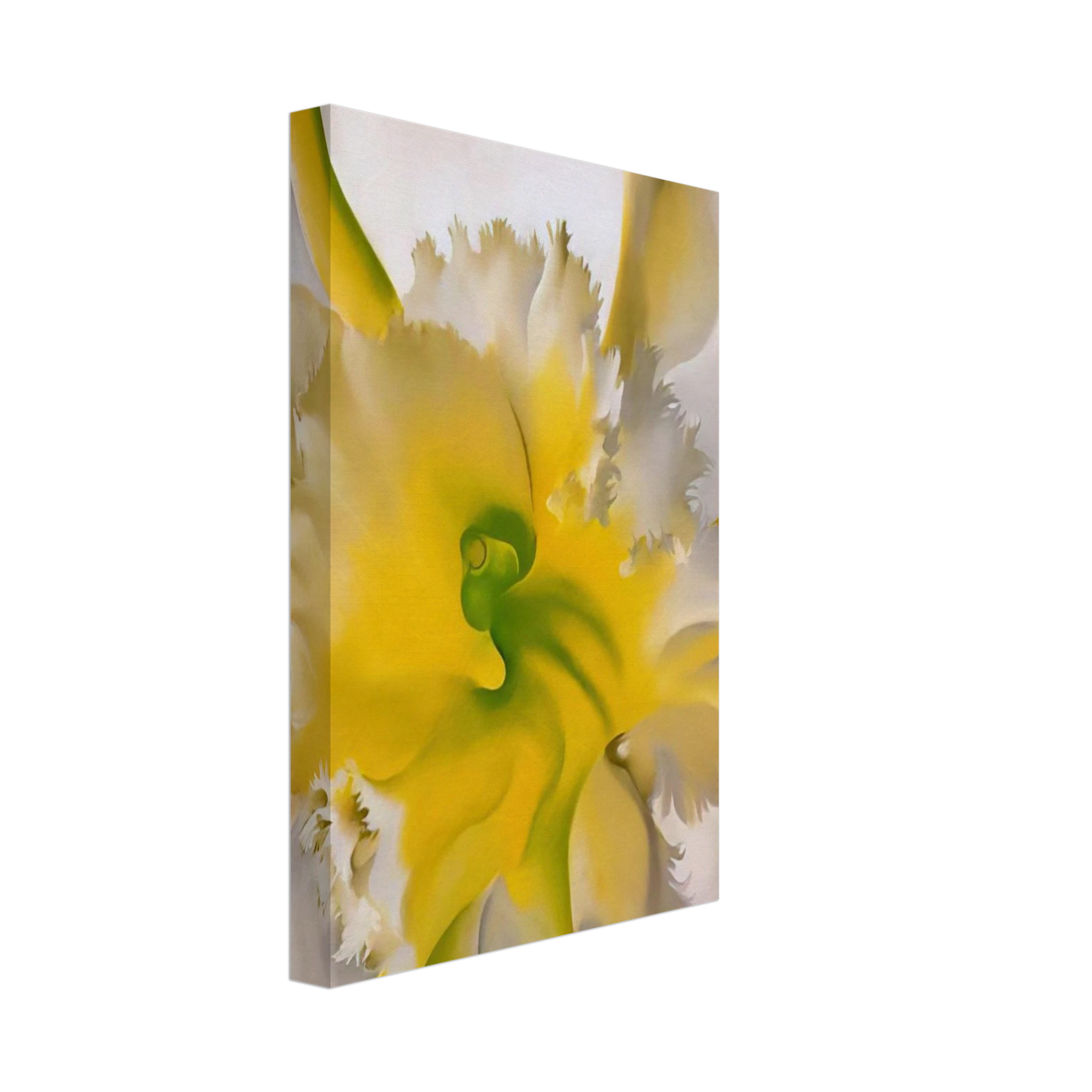 An Orchid Canvas | Georgia O'Keeffe Canvas | Georgia O Keeffe Prints