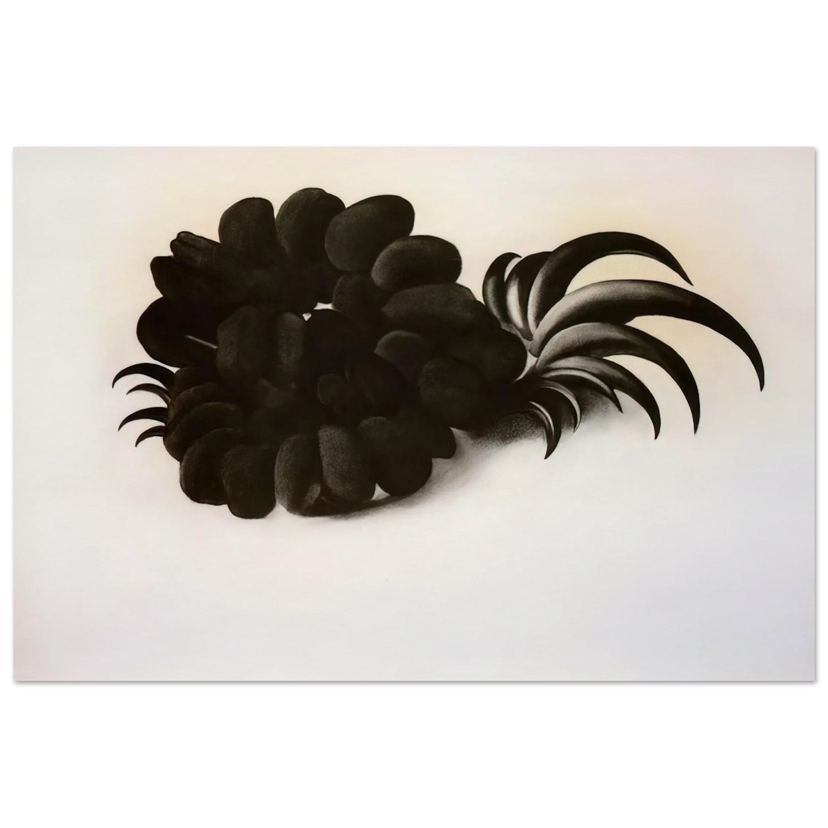 Eagle Claw and Bean Necklace Poster | Georgia O'Keeffe Poster | Georgia O Keeffe Prints
