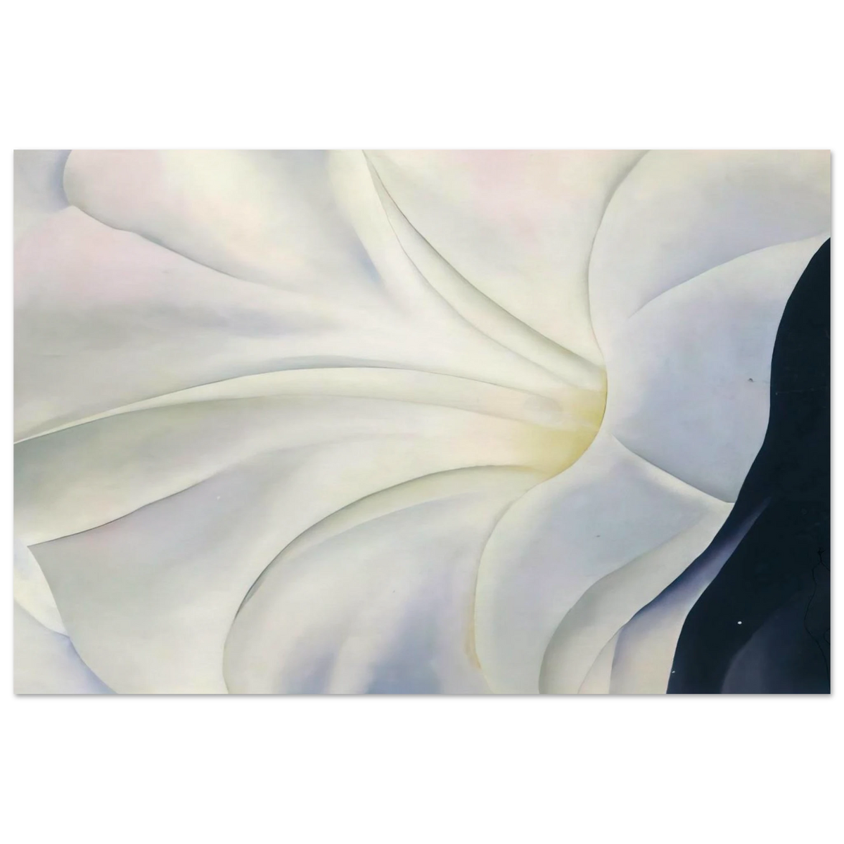 Morning Glory with Black Poster | Georgia O'Keeffe Poster | Georgia O Keeffe Prints