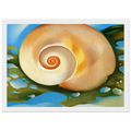 Pink Shell with Seaweed Framed Poster | Georgia O'Keeffe Framed Prints Wall Art | Georgia O Keeffe Prints