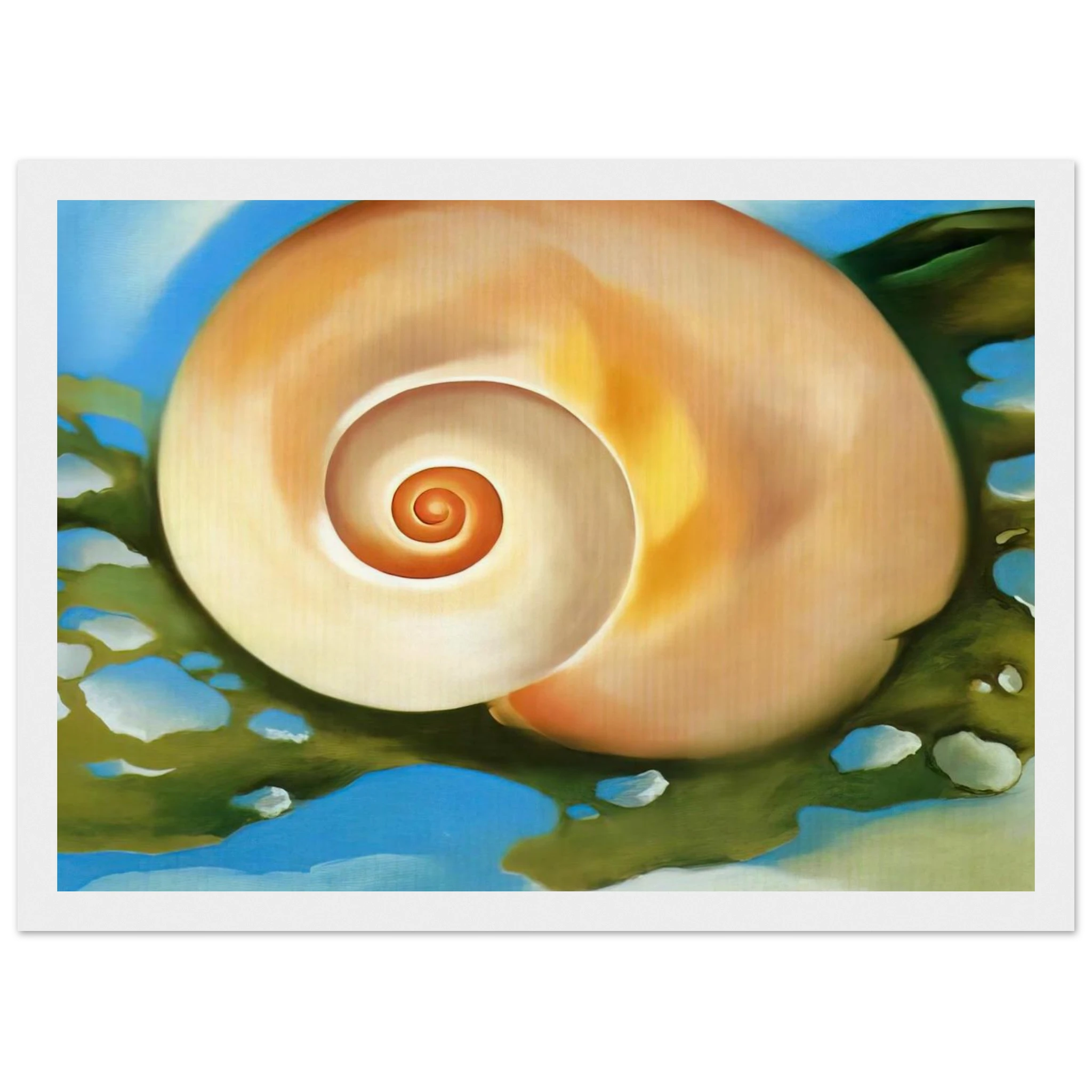 Pink Shell with Seaweed Framed Poster | Georgia O'Keeffe Framed Prints Wall Art | Georgia O Keeffe Prints