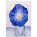 Blue Morning Glory Poster | Georgia O'Keeffe Poster | Georgia O Keeffe Prints