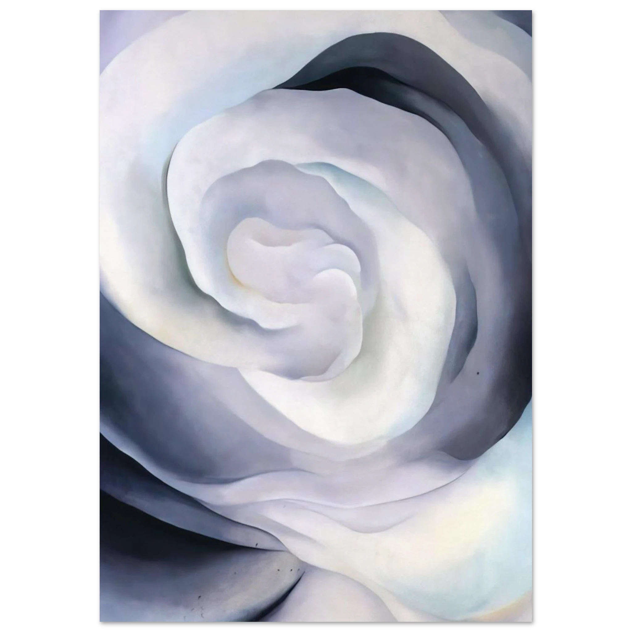 Abstraction White Rose Poster | Georgia O'Keeffe Poster | Georgia O Keeffe Prints