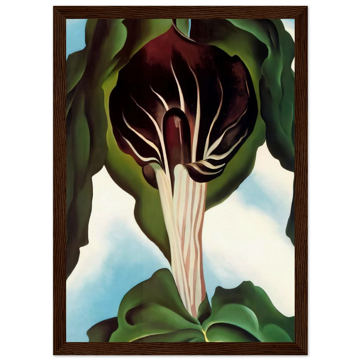 Jack-in-the-Pulpit III Framed Poster | Georgia O'Keeffe Framed Prints Wall Art | Georgia O Keeffe Prints