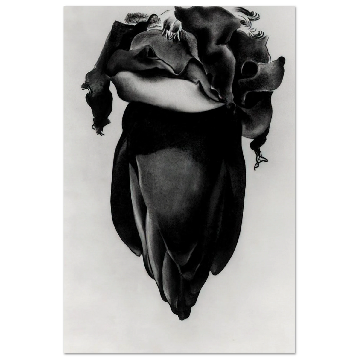 Banana Flower Poster | Georgia O'Keeffe Poster | Georgia O Keeffe Prints