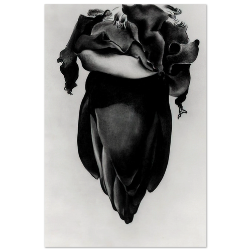 Banana Flower Poster | Georgia O'Keeffe Poster | Georgia O Keeffe Prints