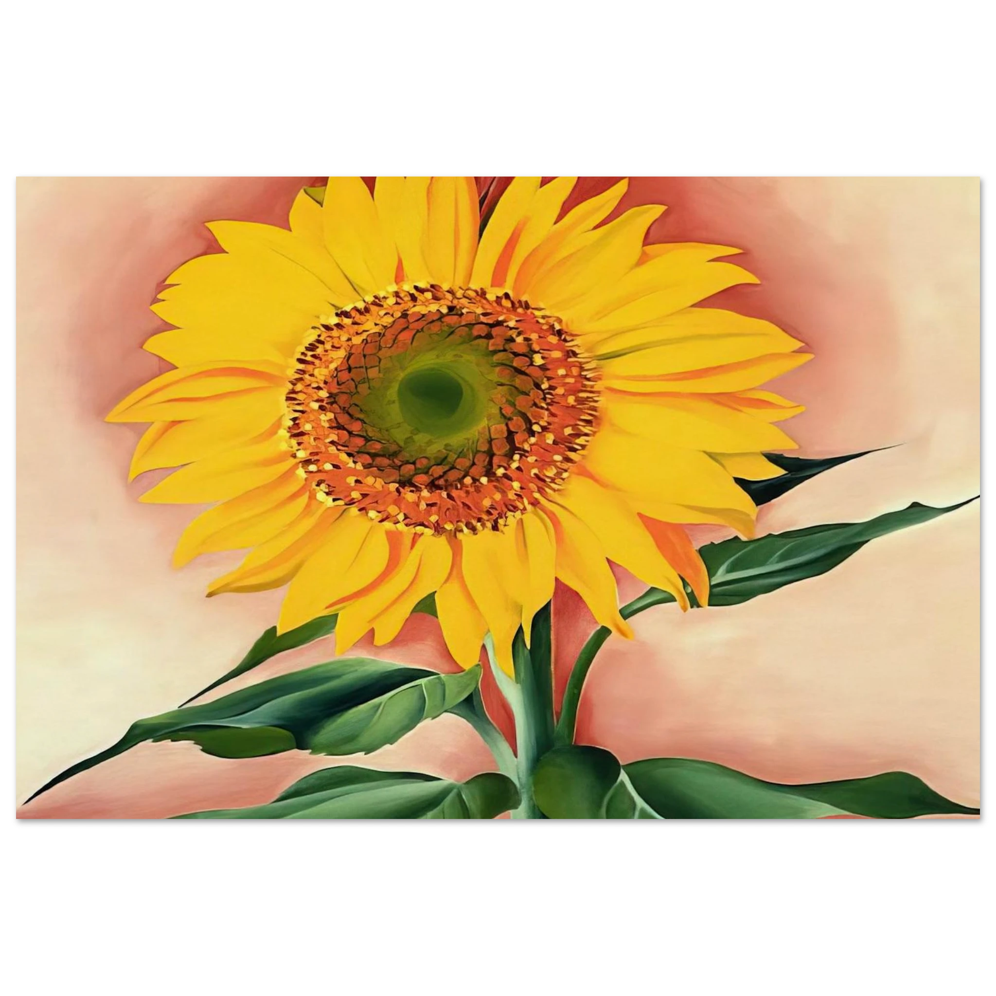 A Sunflower from Maggie Poster | Georgia O'Keeffe Poster | Georgia O Keeffe Prints