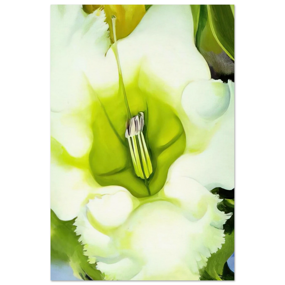 Cup Of Silver Ginger Poster | Georgia O'Keeffe Poster | Georgia O Keeffe Prints