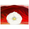 Red hills and white flower Poster | Georgia O'Keeffe Poster | Georgia O Keeffe Prints