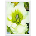 Cup Of Silver Ginger Framed Poster | Georgia O'Keeffe Framed Prints Wall Art | Georgia O Keeffe Prints