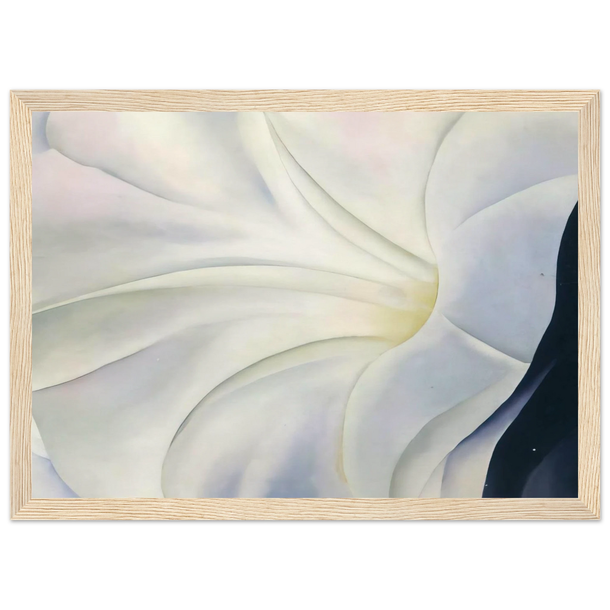 Morning Glory with Black Framed Poster | Georgia O'Keeffe Framed Prints Wall Art | Georgia O Keeffe Prints