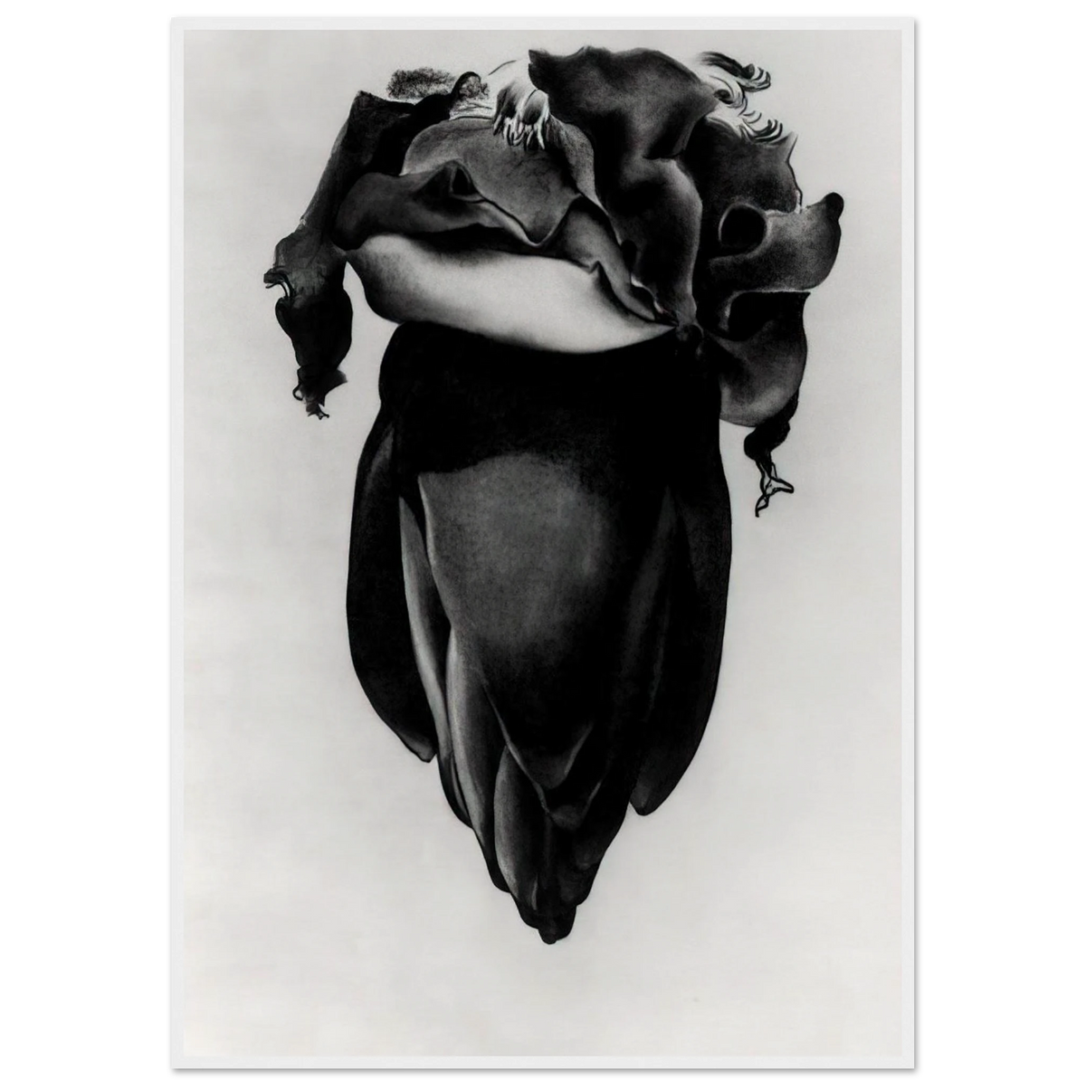 Banana Flower Framed Poster | Georgia O'Keeffe Framed Prints Wall Art | Georgia O Keeffe Prints