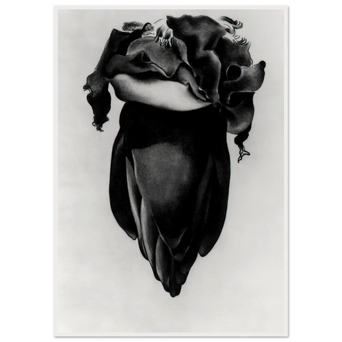 Banana Flower Framed Poster | Georgia O'Keeffe Framed Prints Wall Art | Georgia O Keeffe Prints