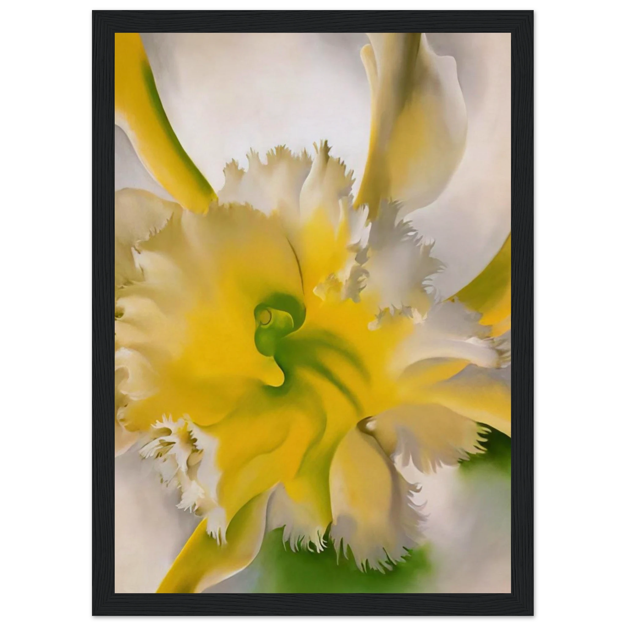 An Orchid Framed Poster | Georgia O'Keeffe Framed Prints Wall Art | Georgia O Keeffe Prints