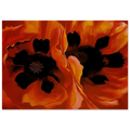 Oriental Poppies Poster | Georgia O'Keeffe Poster | Georgia O Keeffe Prints