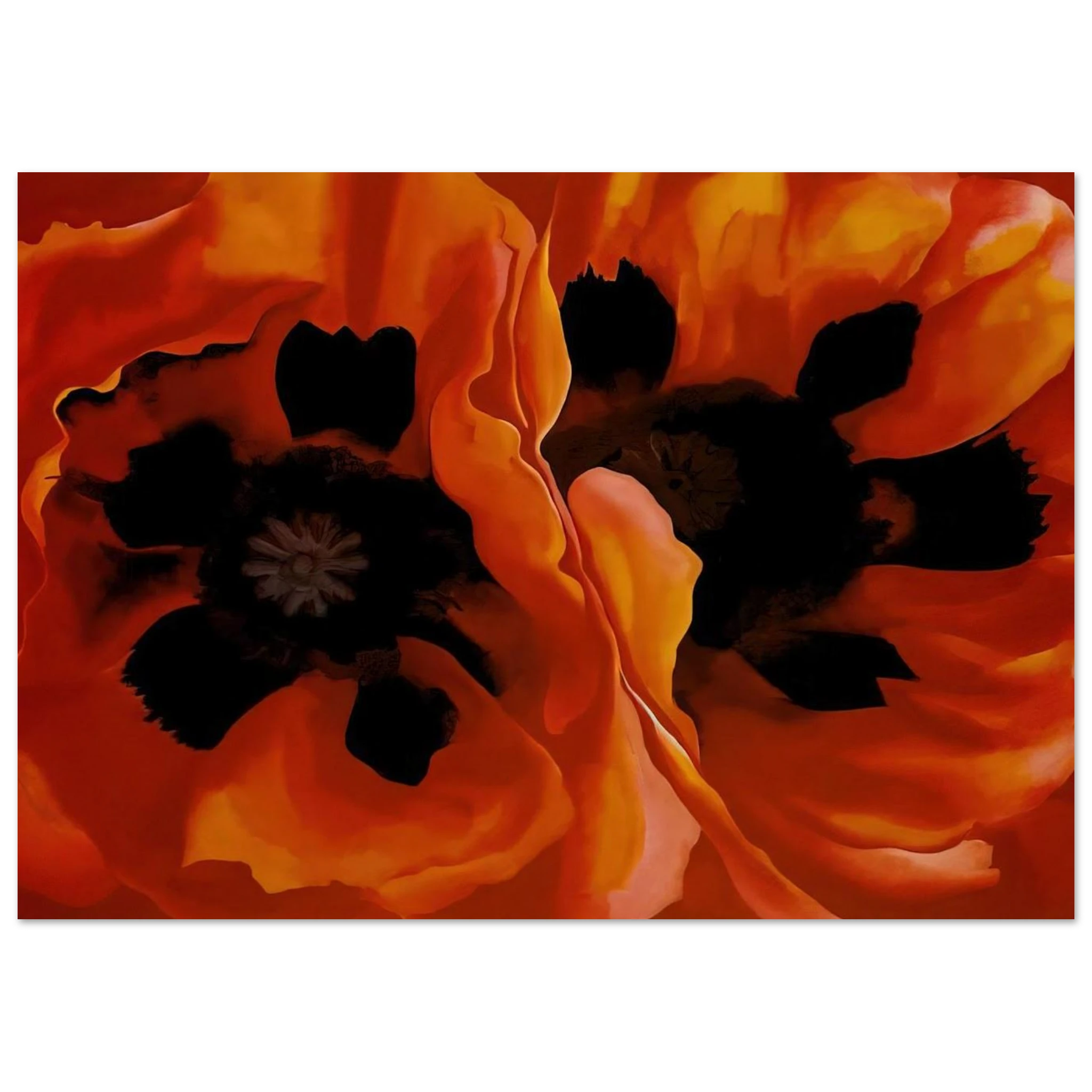 Oriental Poppies Poster | Georgia O'Keeffe Poster | Georgia O Keeffe Prints