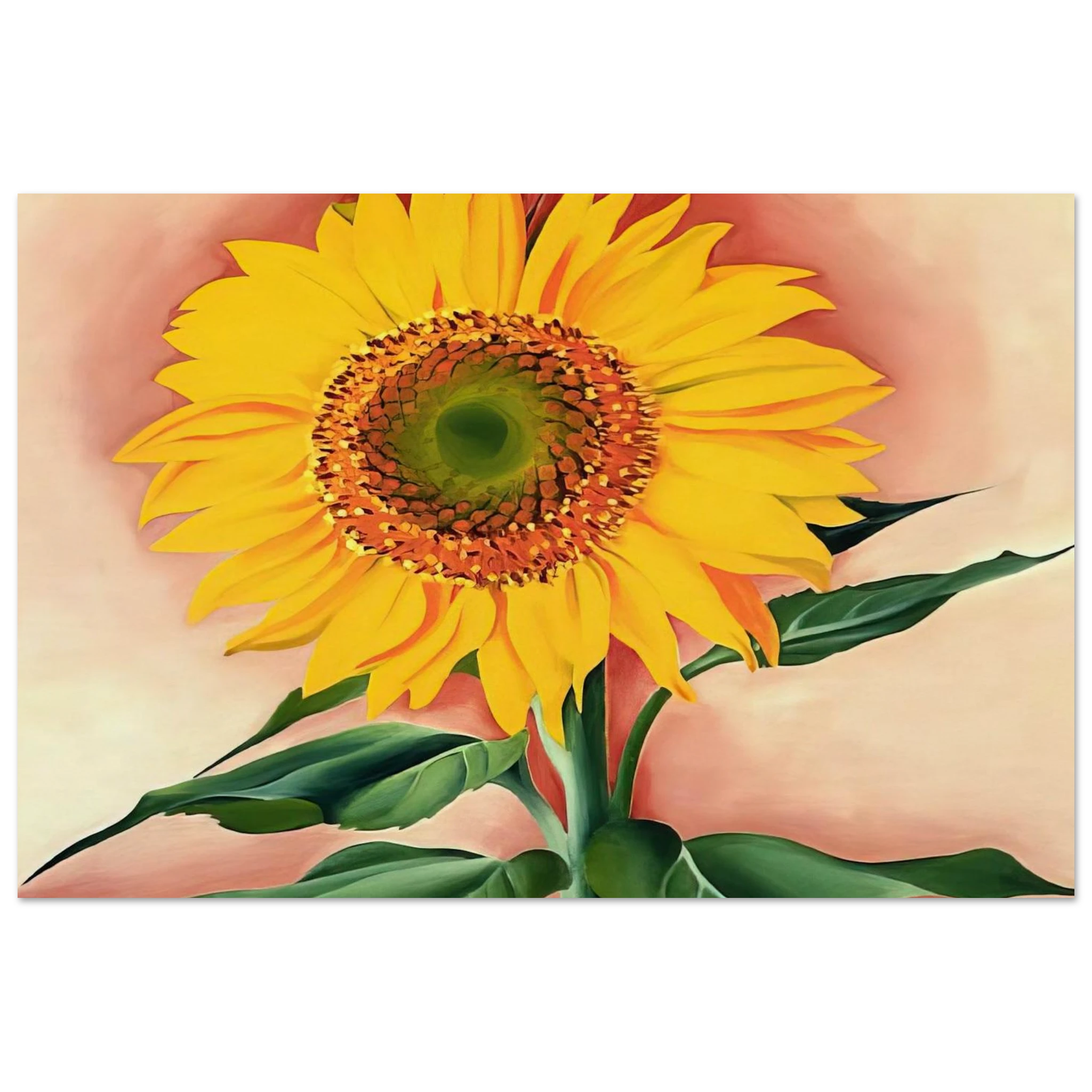 A Sunflower from Maggie Poster | Georgia O'Keeffe Poster | Georgia O Keeffe Prints