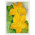 Squash Blossoms I Framed Poster | Georgia O'Keeffe Framed Prints Wall Art | Georgia O Keeffe Prints