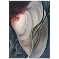 Shell No 2 Poster | Georgia O'Keeffe Poster | Georgia O Keeffe Prints