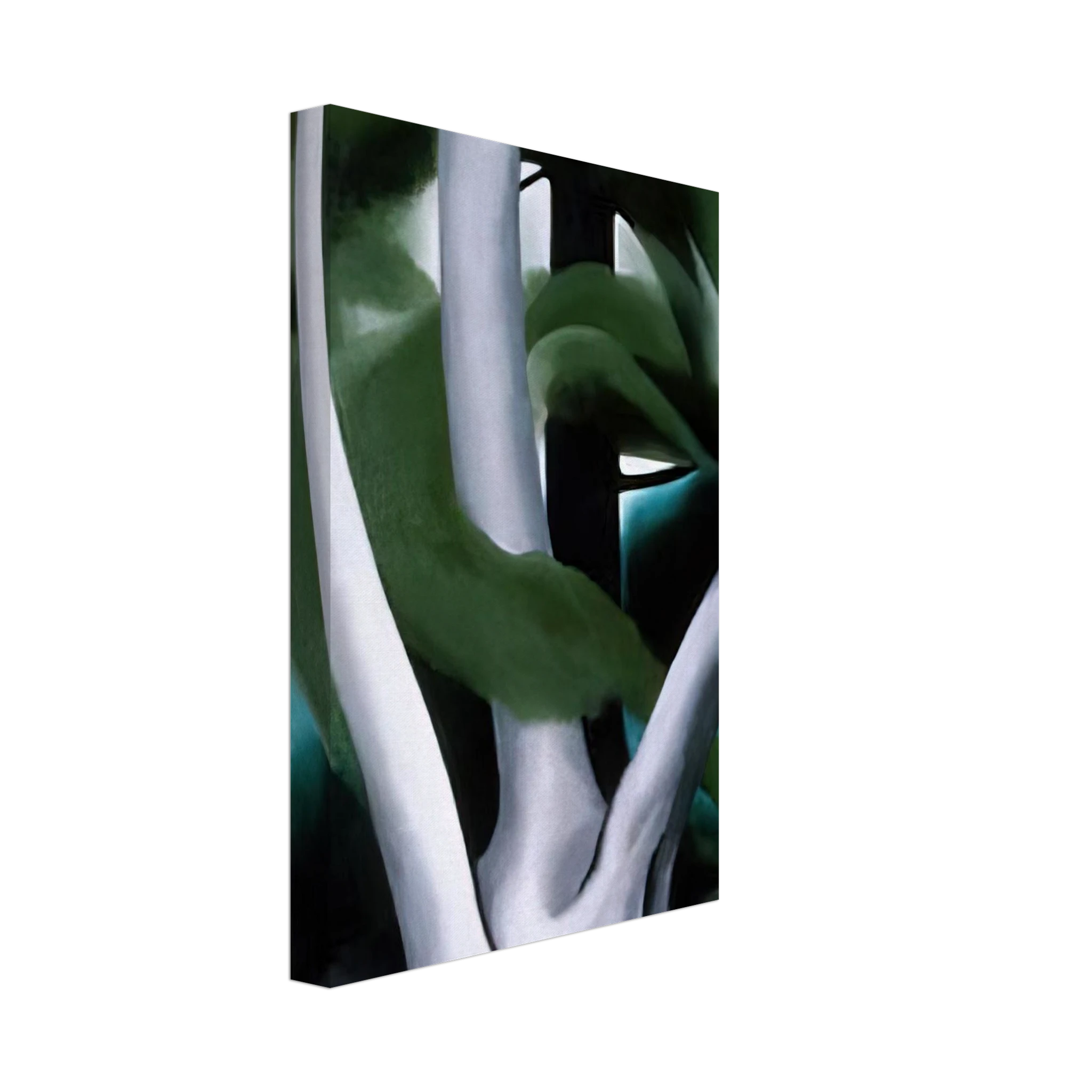 Birch and Pine Tree No. 1 Canvas | Georgia O'Keeffe Canvas | Georgia O Keeffe Prints