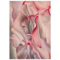 Pink Sweet Peas 2 Poster | Georgia O'Keeffe Poster | Georgia O Keeffe Prints