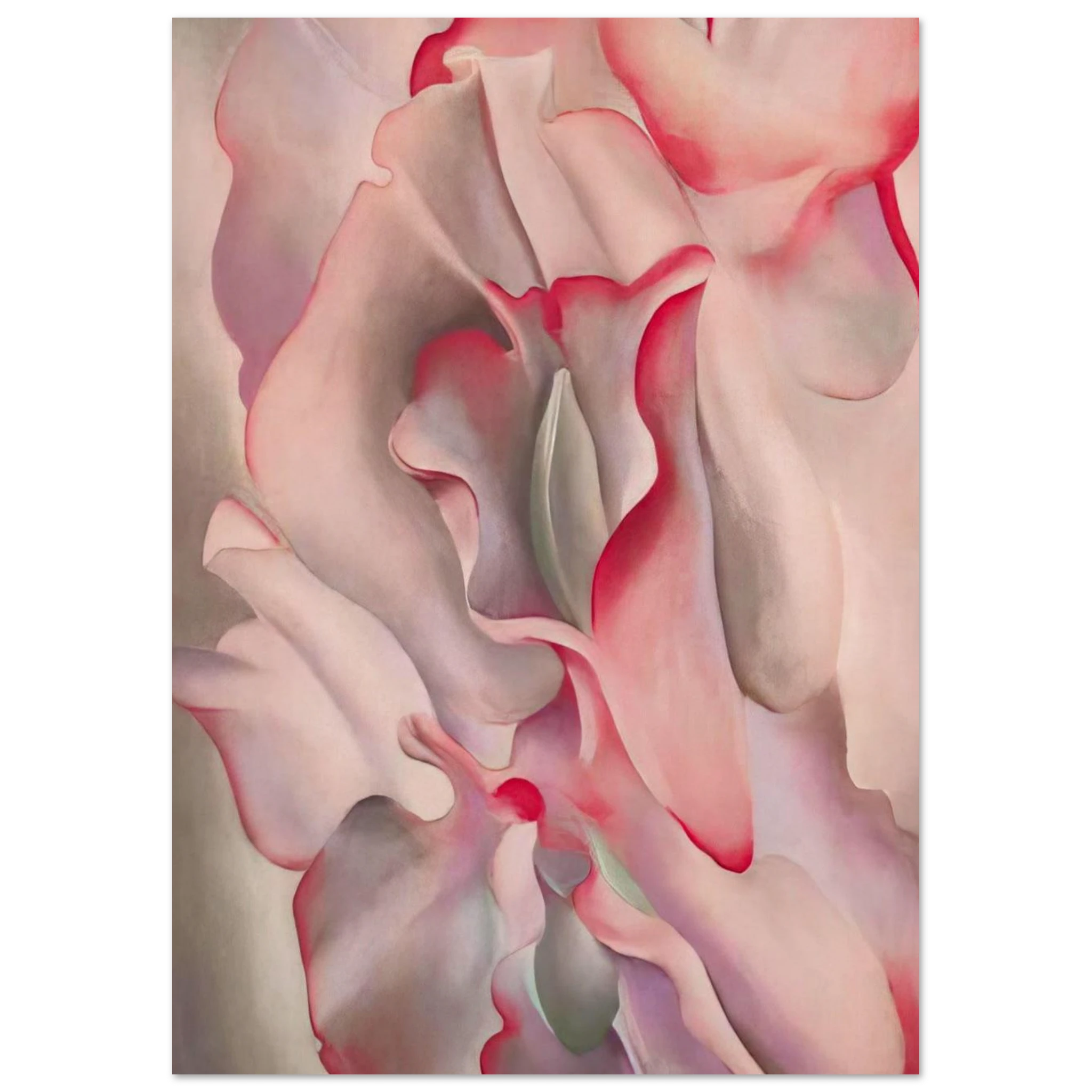 Pink Sweet Peas 2 Poster | Georgia O'Keeffe Poster | Georgia O Keeffe Prints