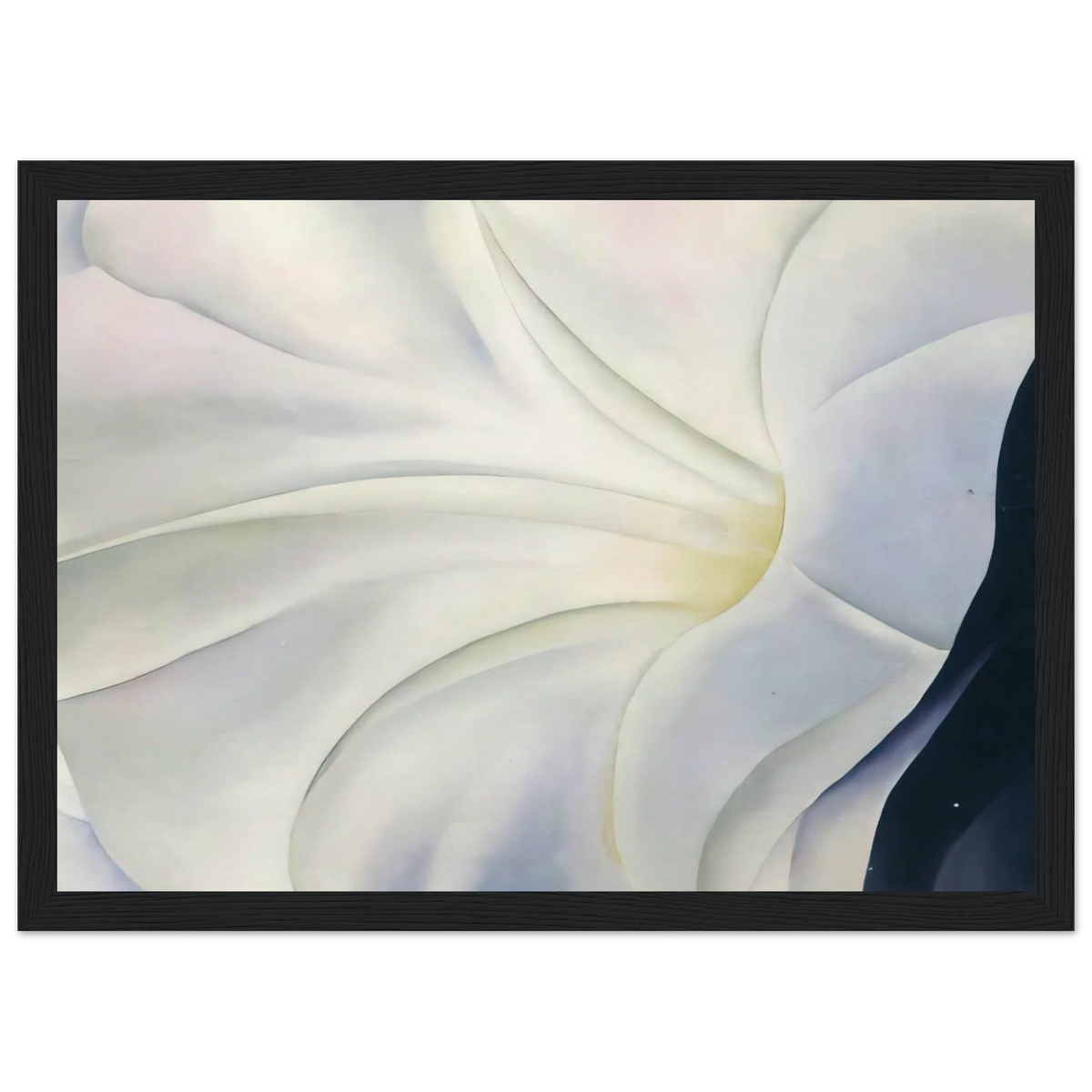 Morning Glory with Black Framed Poster | Georgia O'Keeffe Framed Prints Wall Art | Georgia O Keeffe Prints