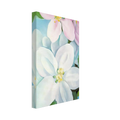 Apple Blossoms Canvas | Georgia O'Keeffe Canvas | Georgia O Keeffe Prints