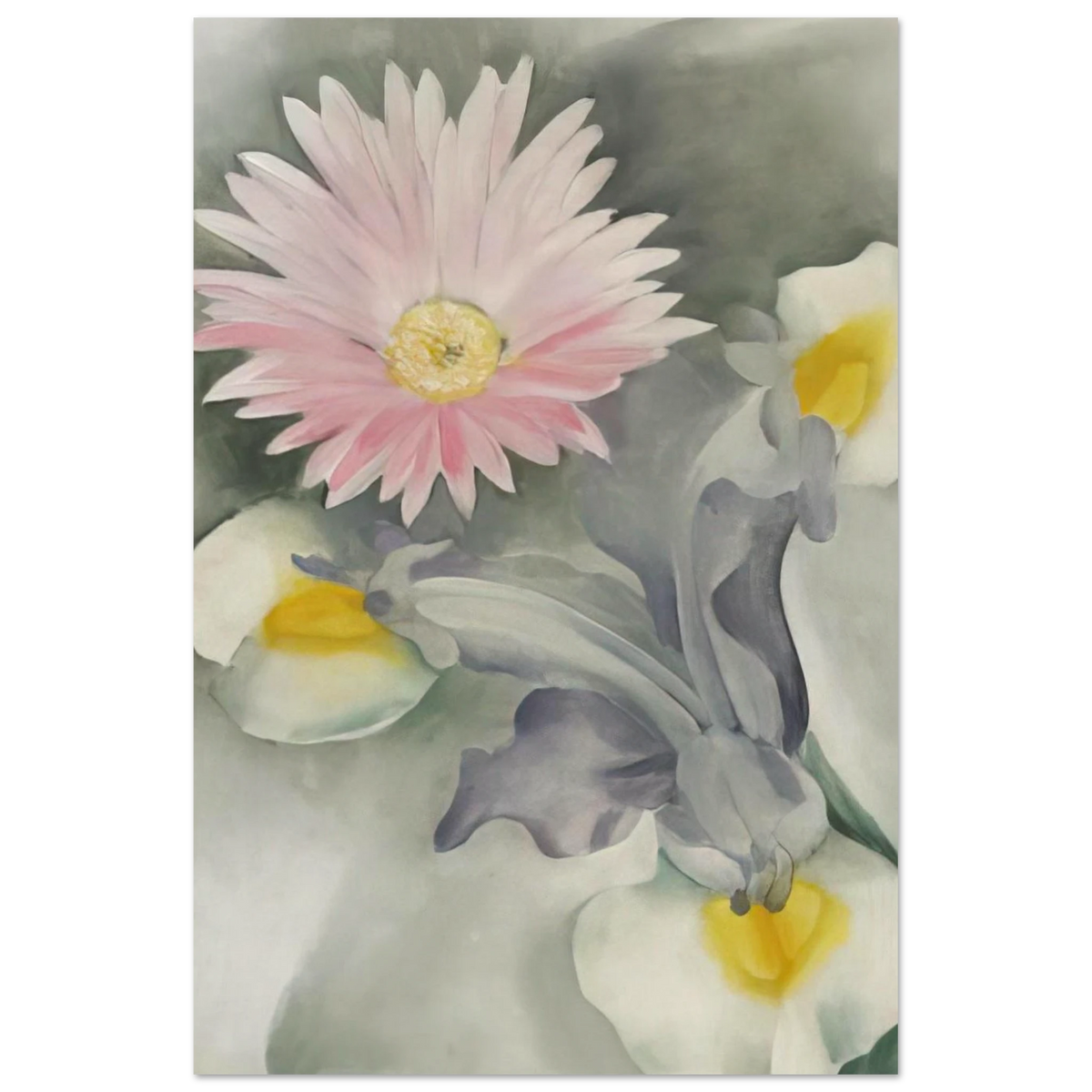 Pink Daisy with Iris Poster | Georgia O'Keeffe Poster | Georgia O Keeffe Prints
