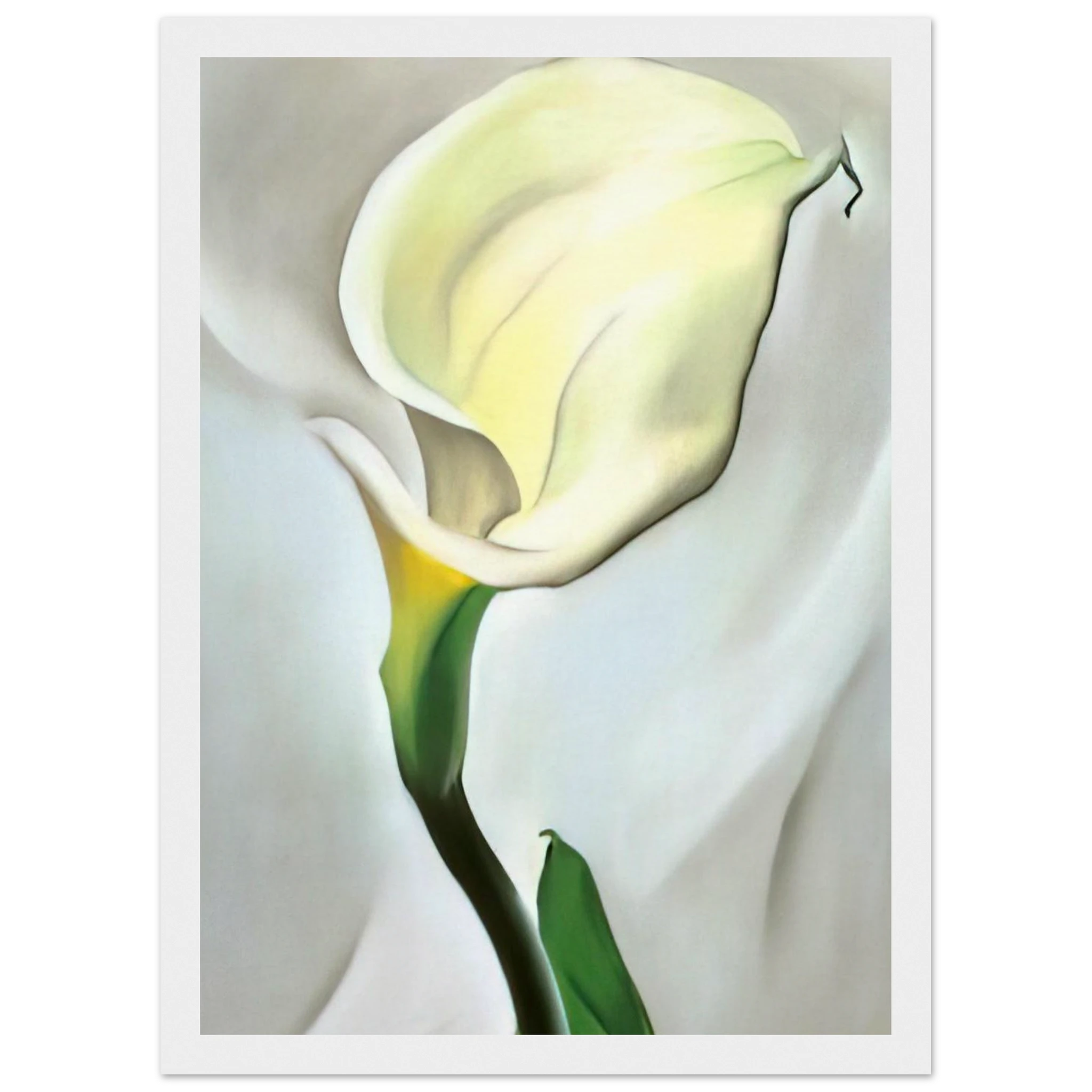 Calla Lily Turned Away Framed Poster | Georgia O'Keeffe Framed Prints Wall Art | Georgia O Keeffe Prints