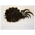 Eagle Claw and Bean Necklace Poster | Georgia O'Keeffe Poster | Georgia O Keeffe Prints