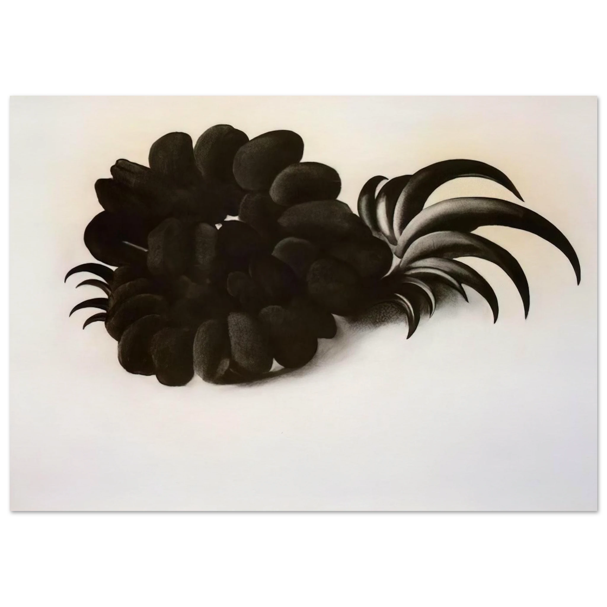 Eagle Claw and Bean Necklace Poster | Georgia O'Keeffe Poster | Georgia O Keeffe Prints